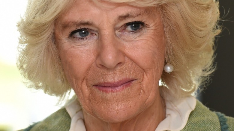 A closeup of Camilla Parker Bowles